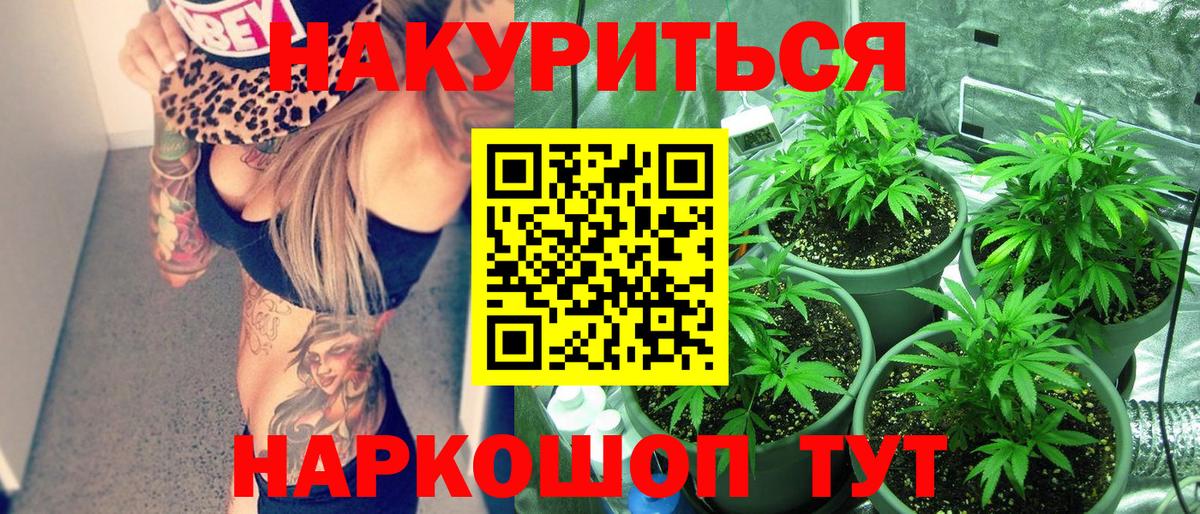 Конопля марихуана Чехов